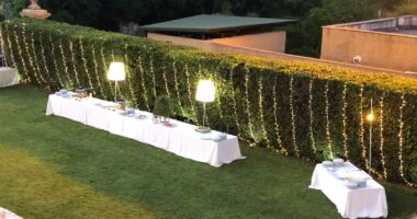 Illuminazione siepi per matrimoni: trasformare il verde in atmosfera