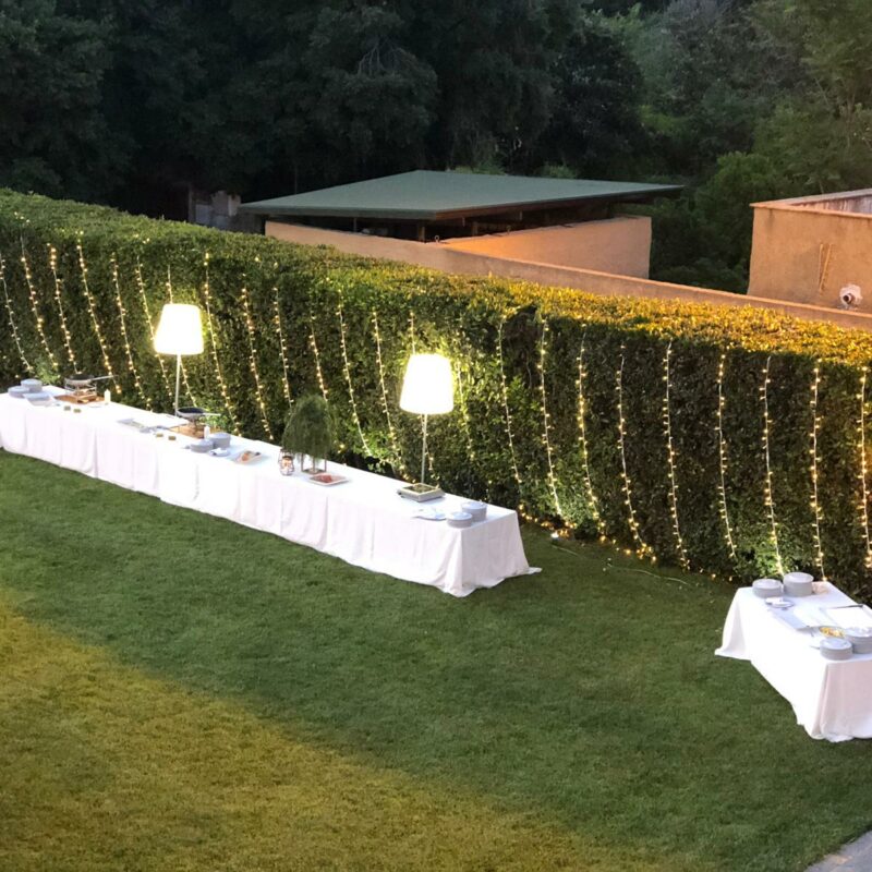 Illuminazione siepi per matrimoni: trasformare il verde in atmosfera